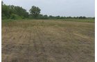 Lake County, Indiana farmland - LAND AUCTION - 147+/- ACRES OFFERED IN 3 TRACTS IN LAKE COUNTY, INDIANA